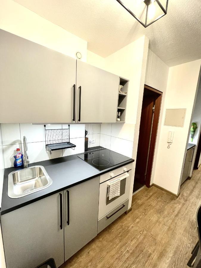 Boutique Apartment Am Bahnhof فرايبورغ المظهر الخارجي الصورة
